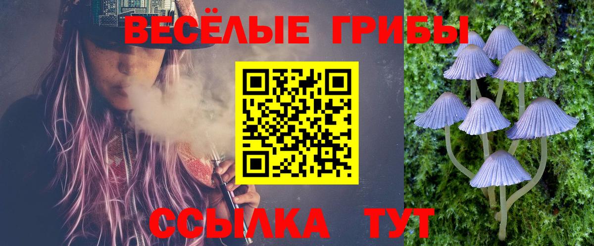 Псилоцибиновые грибы ЛСД  Галлюциногенные грибы Cubensis  Вход с VPN  Луга 